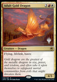 Adult Gold Dragon (Promo Pack) [Dungeons & Dragons: Adventures in the Forgotten Realms Promos]